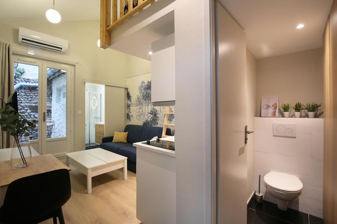 La Chartreuse - Ravissant Appartement A Тулуза Екстериор снимка